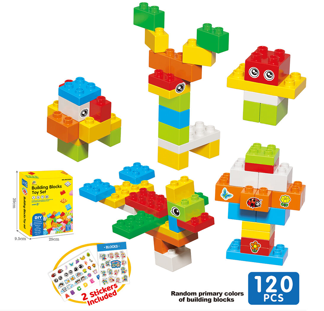 Educational DIY Growth Series Large Building Block Kit